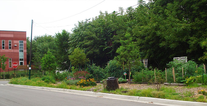 A picture of garden beds and wild flowers at the Bowmanville Gateway Gardens